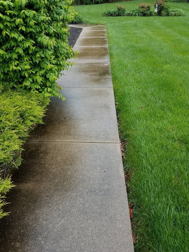 Before Concrete Power Washing Side walk