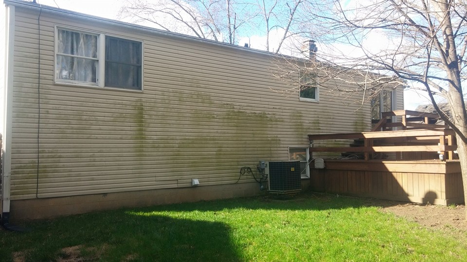 Soft washing technician cleaning green algae from white vinyl siding in Dayton, OH