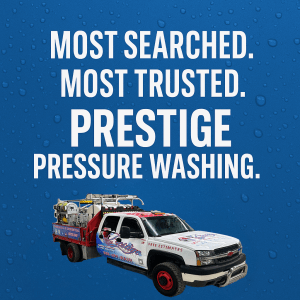 asphalt shingle roof being cleaned with soft wash system in Dayton Ohio