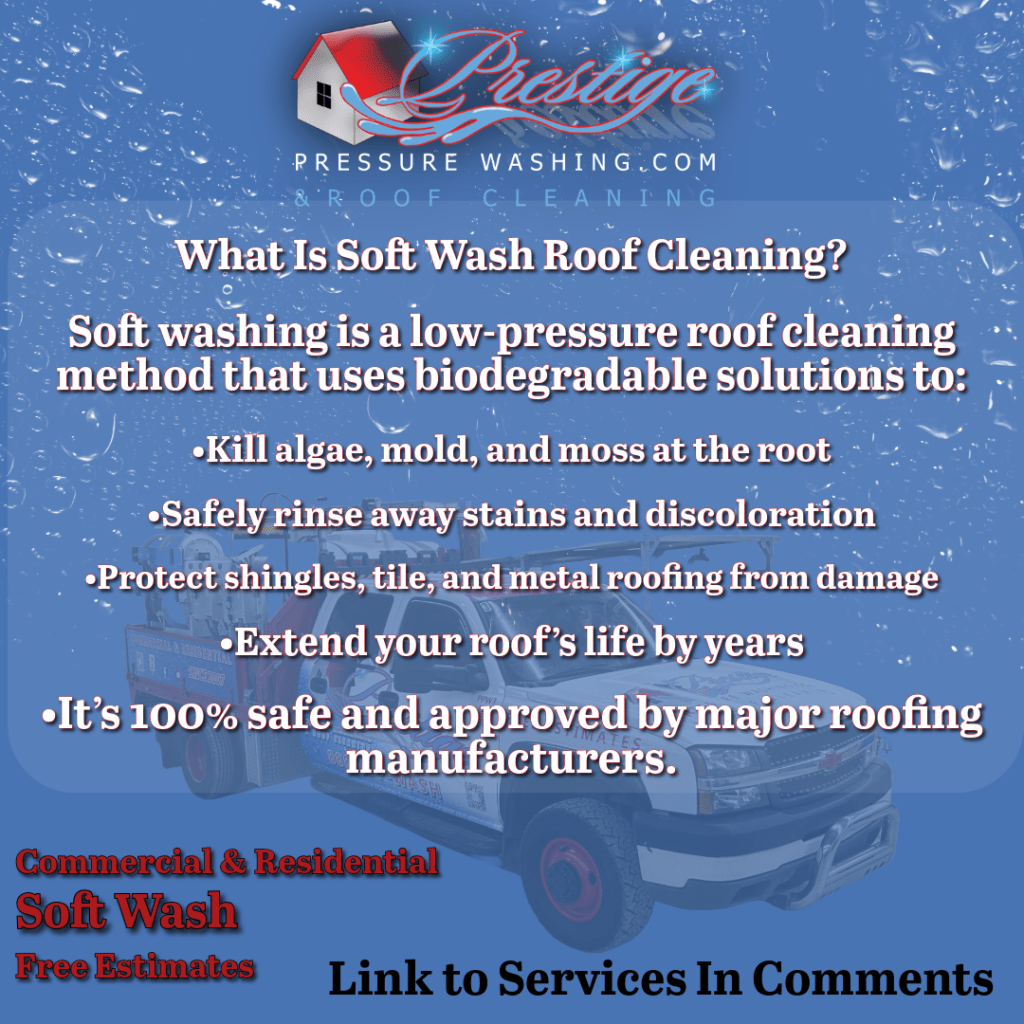 Roof Cleaning Dayton 6