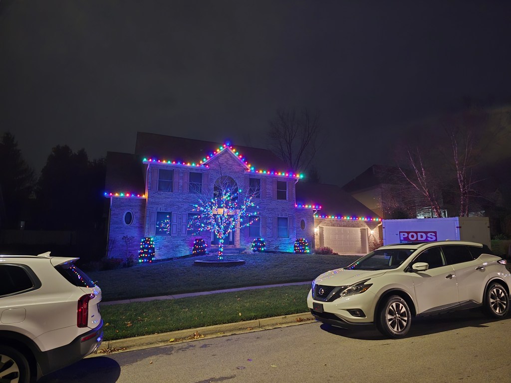 Professional Christmas lights