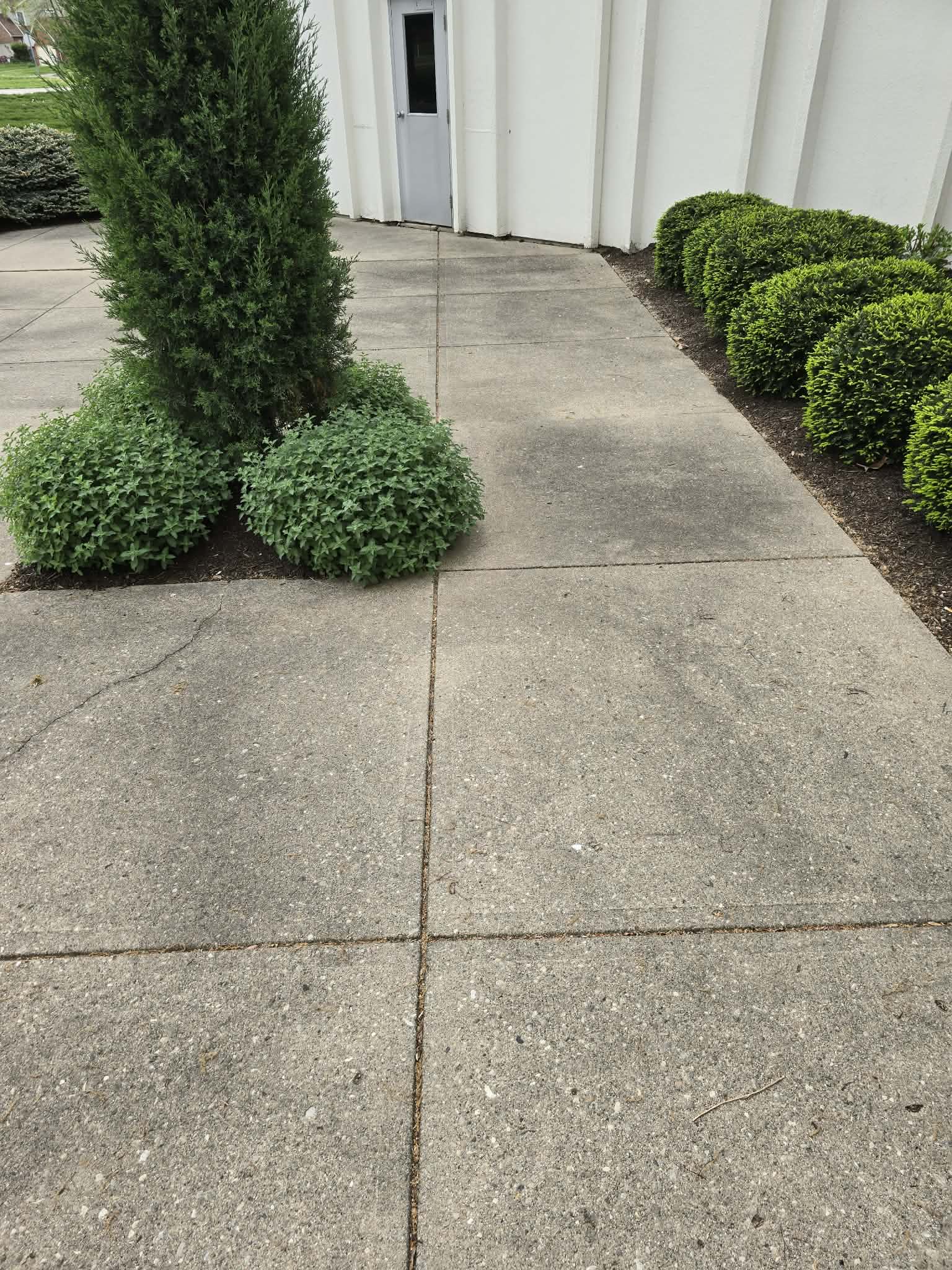 Concrete before pressure washing