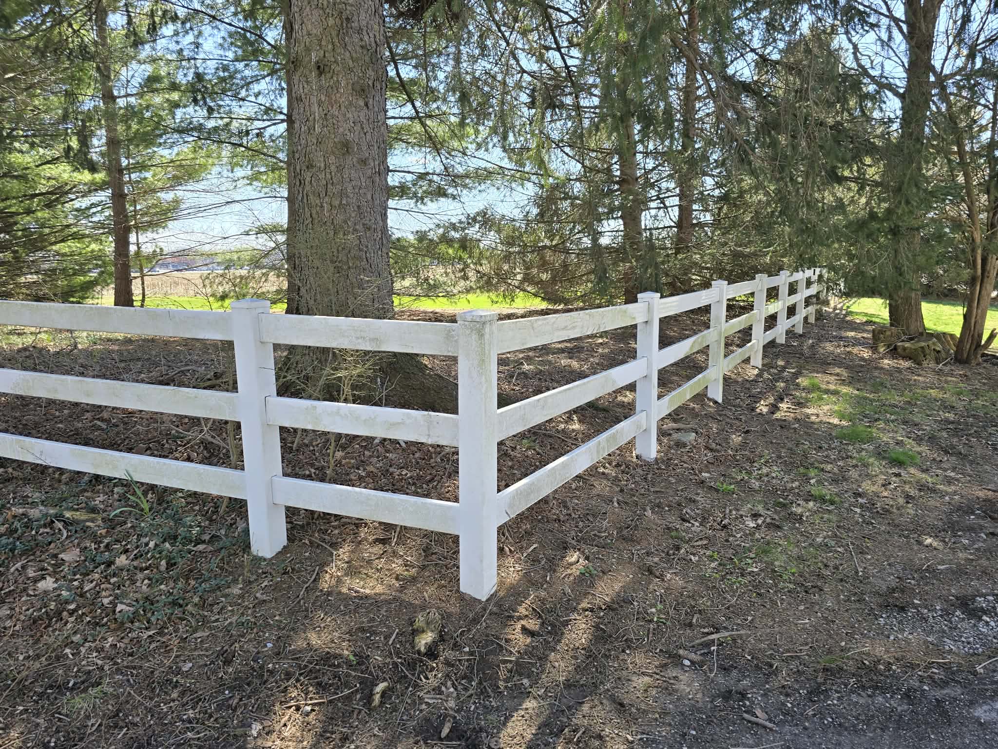 Wood fence before pressure washing dark buildup