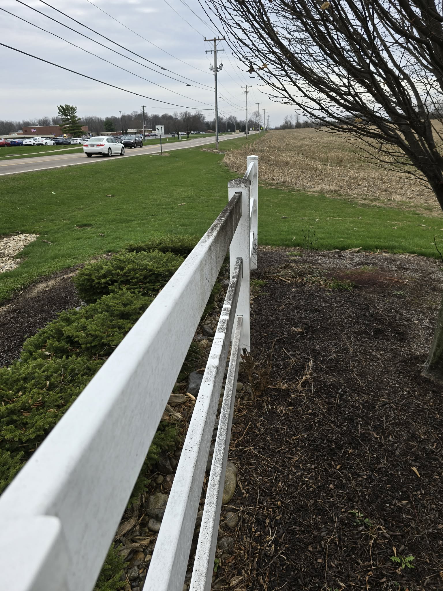 Fence before cleaning algae and dirt buildup