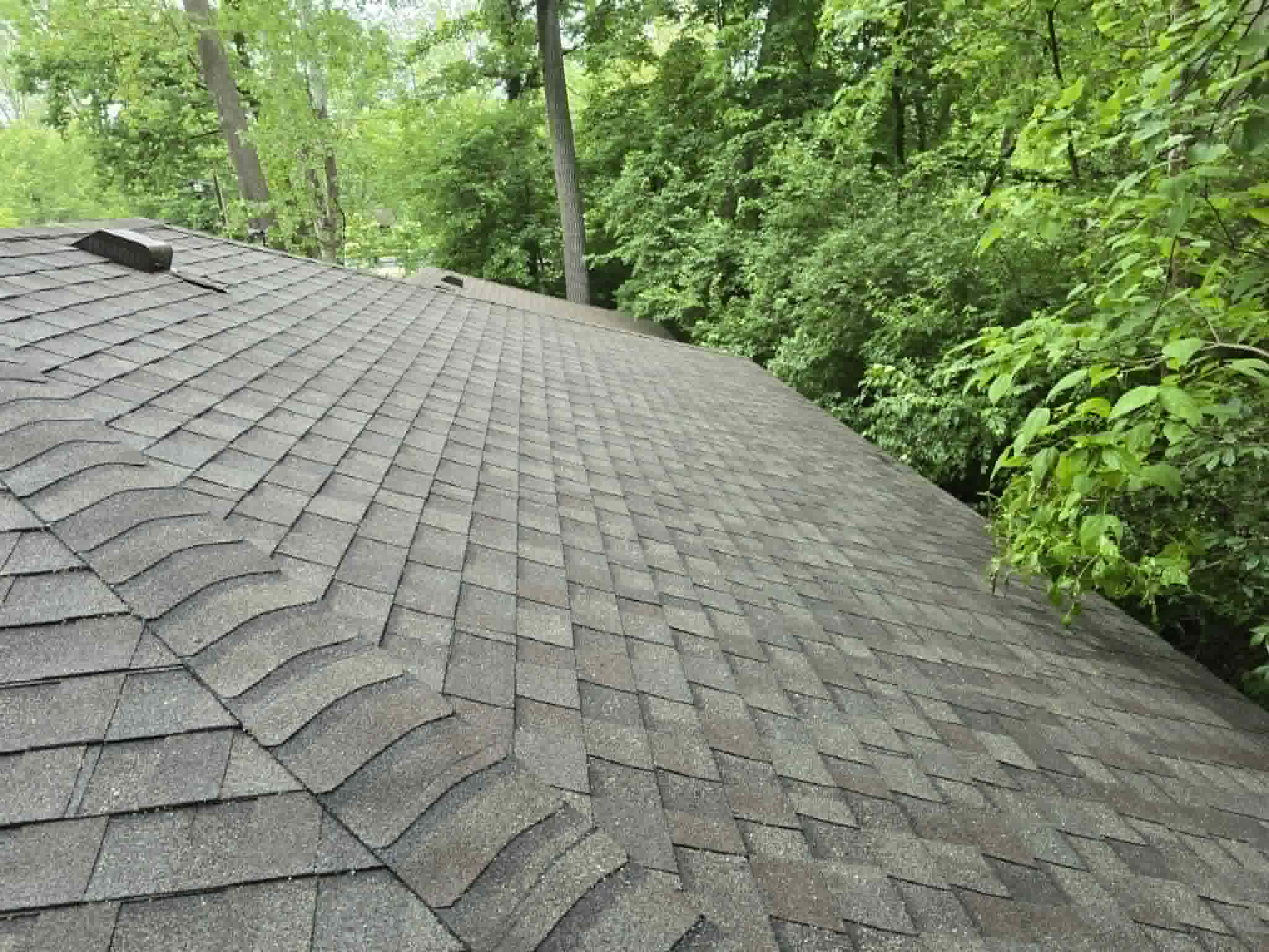 Roof after Prestige soft wash process
