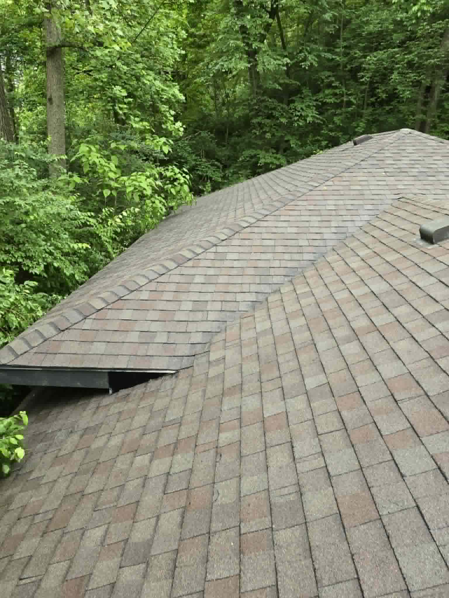 Roof after Prestige roof cleaning process