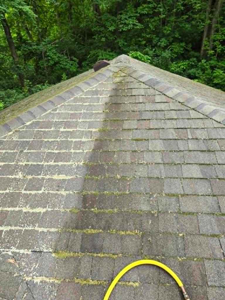 Roof soft washing before and after showing moss, algae, and lichen removal by Prestige Pressure Washing in Dayton Ohio.